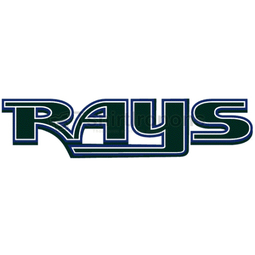 Tampa Bay Rays T-shirts Iron On Transfers N1951